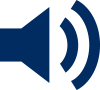 Volume Button From The Playback Toolbar On A Zip DVR Or NVR